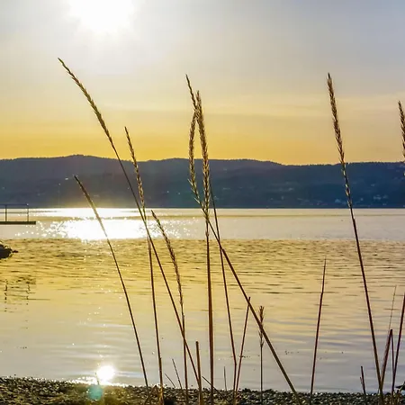 בית נופש Gorgeous In With Kitchen